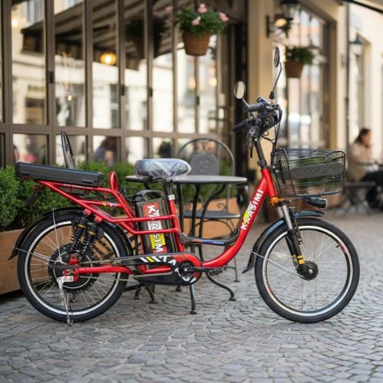 صورة دراجة كهربائية مقاس 22